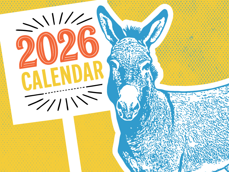 donkey representing the democratic party planning for the 2026 midterms