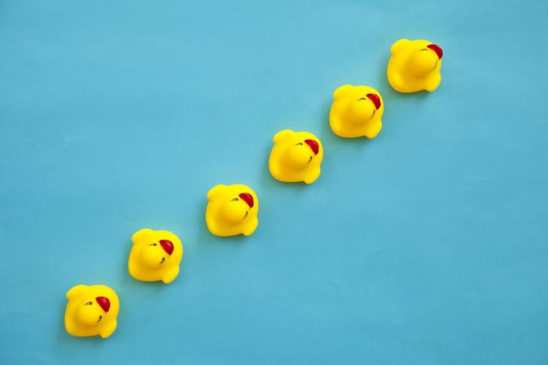 Picture of ducks in a diagonal line