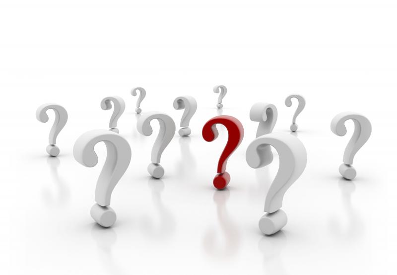 7 Questions with Alex Niemczewski 7 Questions with Alex Niemczewski