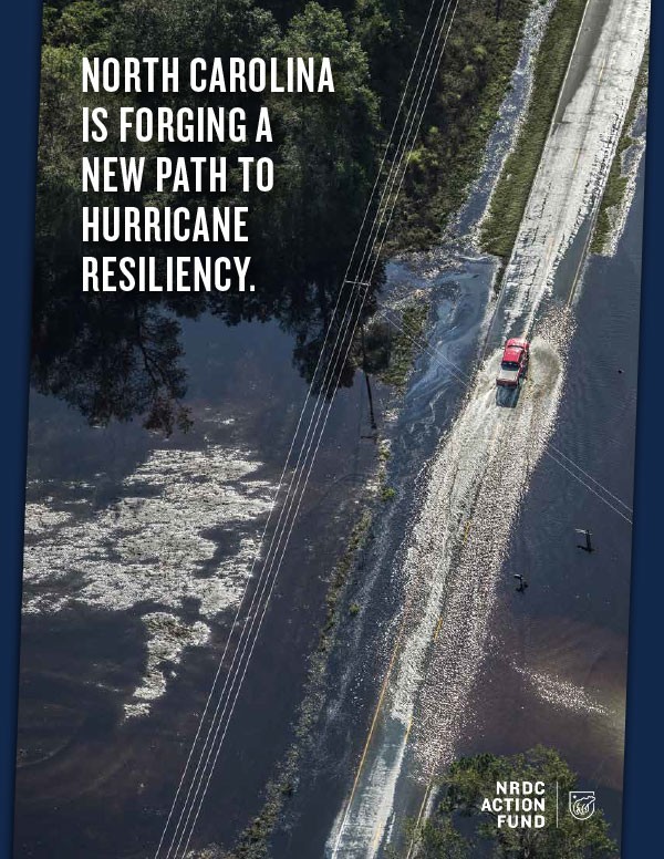 Natural Resources Defense Council advocacy ad page 1
