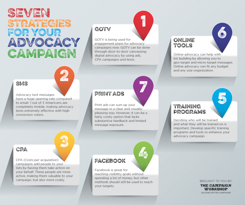 Advocacy Campaign Infographic