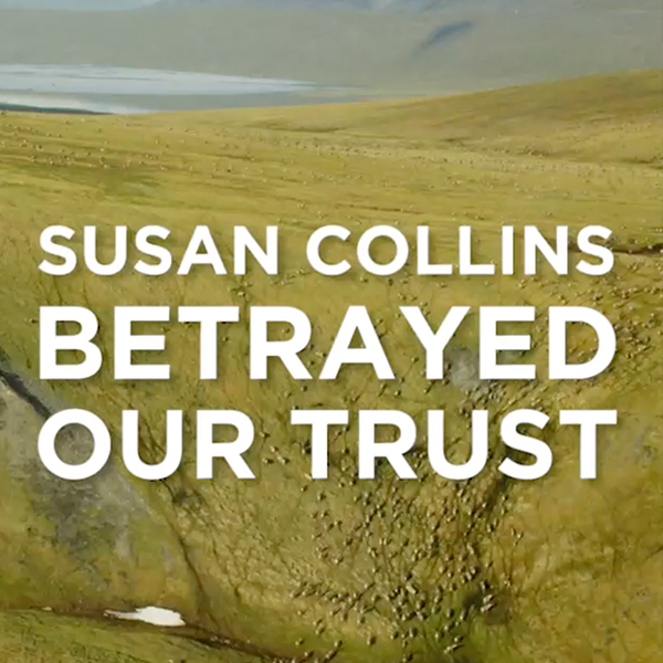 Collins puts Big Oil and Their Profits over Maine's Future 
