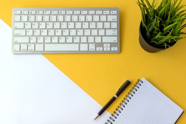 Yellow and white background with keyboard, notebook and pen, and plant