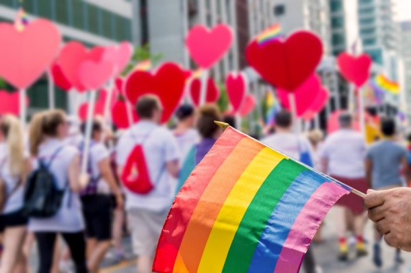 Community advocacy campaign   Picture of a hand holding a pride flag i