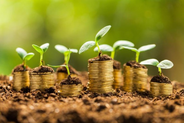 Stacks of coins in dirt with plants growing out of them